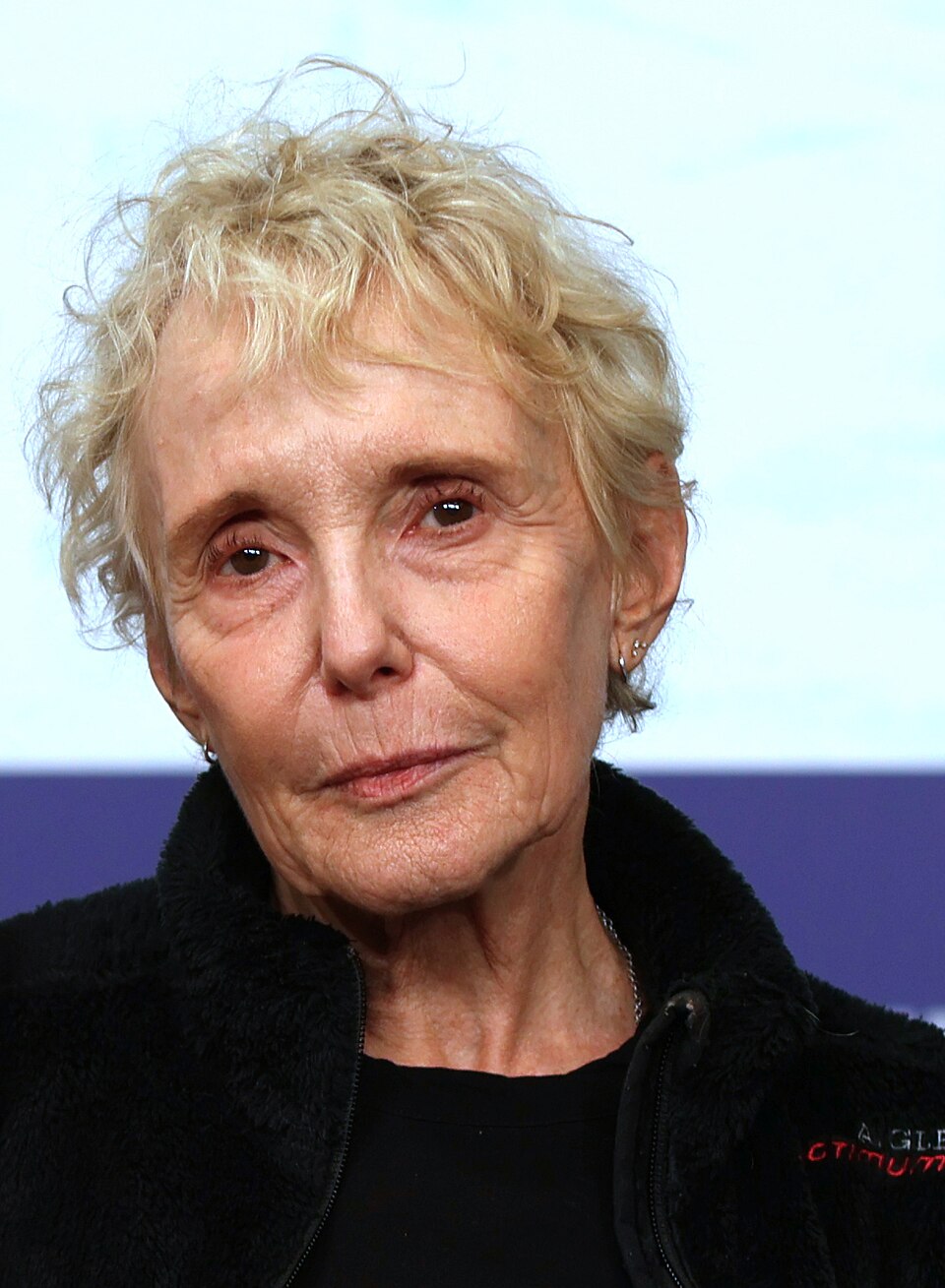 Portrait of Claire Denis