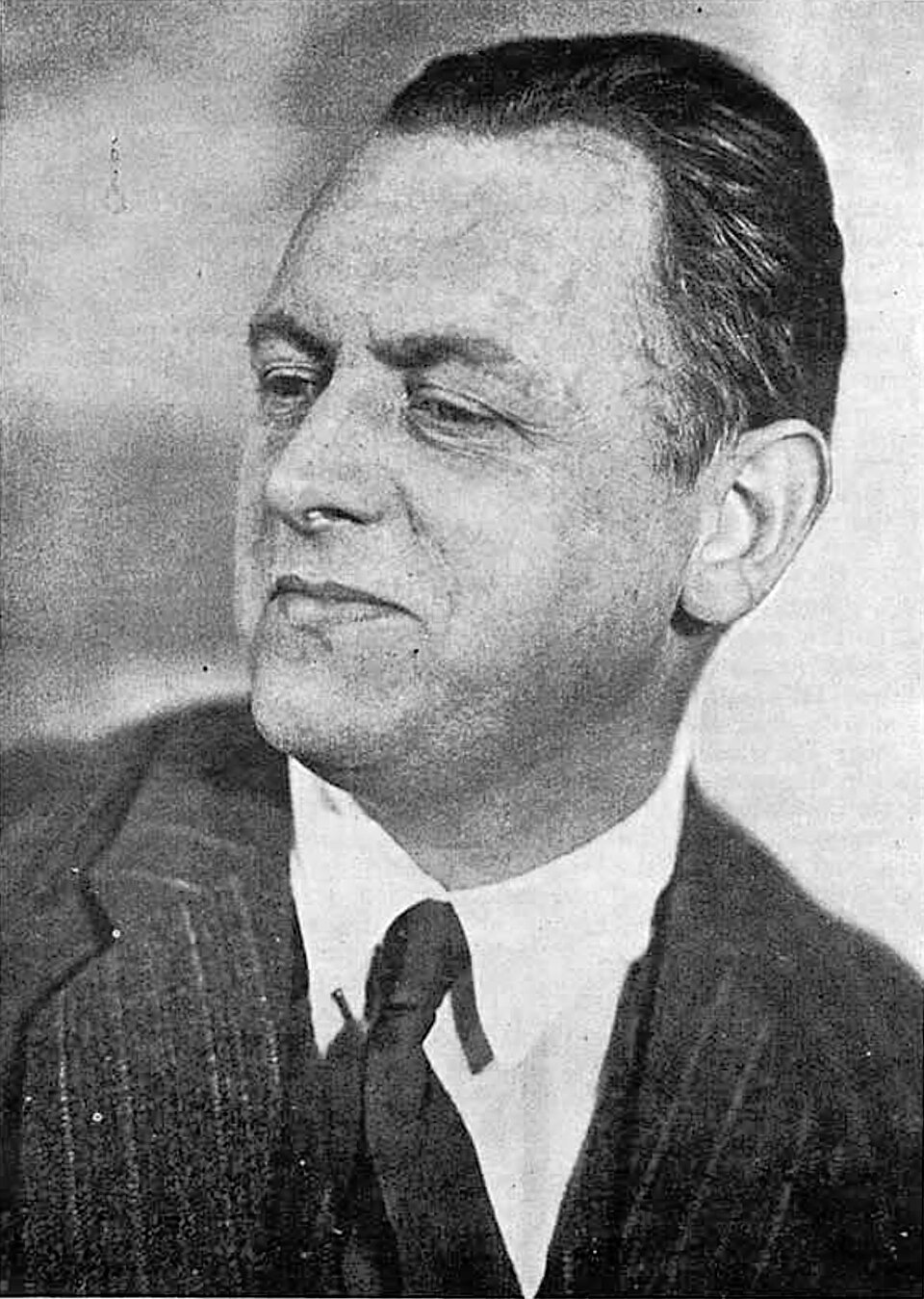 Portrait of Kurt Schwitters